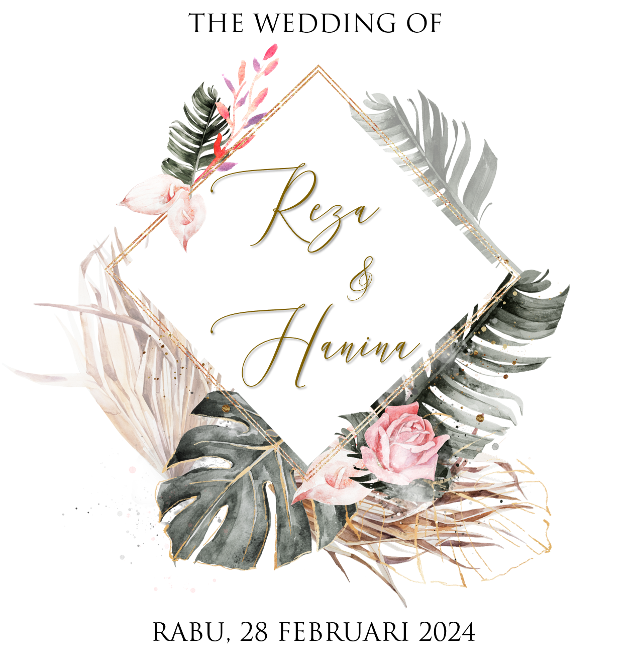 reza haninaa reza haninaa