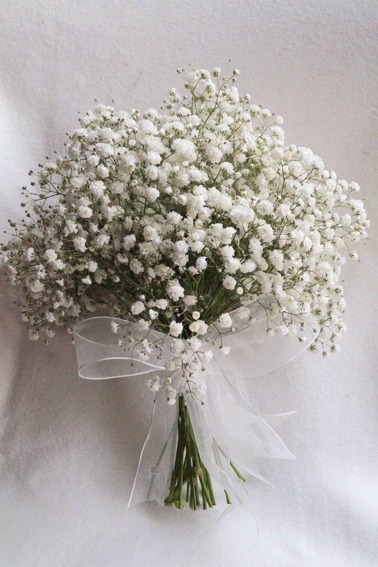 WhatsApp Image 2024-02-12 at 15.58.19 WhatsApp Image 2024-02-12 at 15.58.19