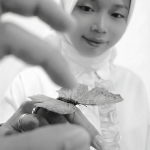Ini kupu-kupu dummy tempelan kulkas padahal wkwkwkk