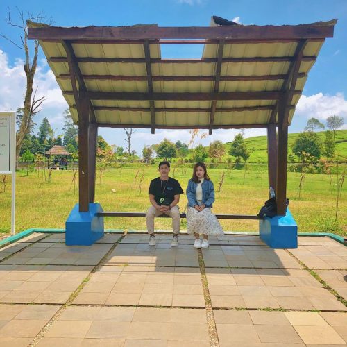 {"CLR_H":"","NAME":"Foodie3","SHP":15,"GRN":0,"CLR_HS":0,"CLR_SHS":0,"DST":"","CNT":11,"BRG":0,"SHD":-2,"VGN":40,"SAT":10,"HGH":24,"FID":127136,"WRM":9,"FD":0,"CLR_SH":"","DSTS":0,"FS":78}