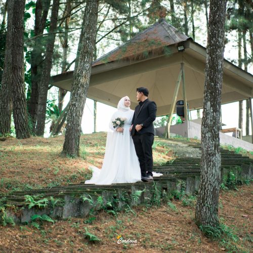 WhatsApp Image 2025-07-13 at 17.34.55 (1)