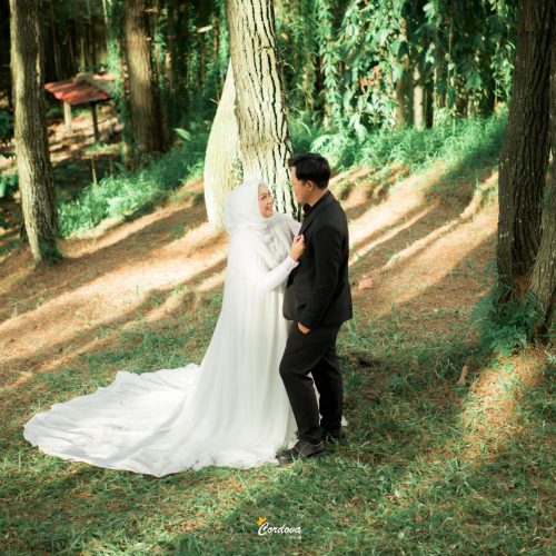 WhatsApp Image 2025-07-13 at 17.34.57