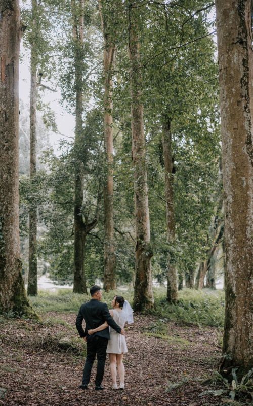 WhatsApp Image 2025-08-10 at 15.43.37