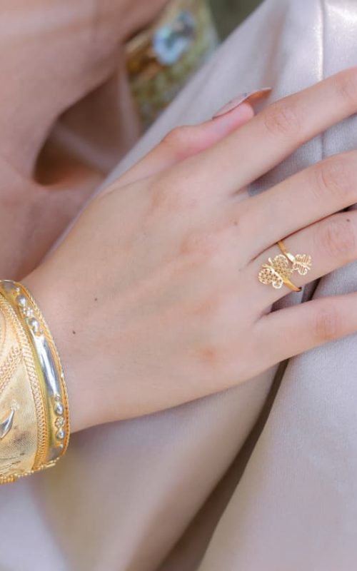 WhatsApp Image 2026-02-21 at 13.38.04 (2)